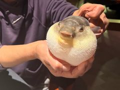 -肆月河豚·淮扬菜·湘菜(华天店)