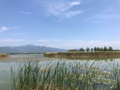 -野鸭湖国家湿地公园