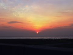 -南汇嘴观海公园