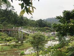 -东莞植物园