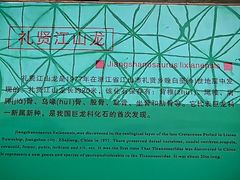 -衢州市博物馆