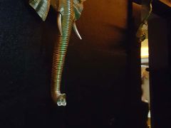 -素可汤泉(天宝大厦店)