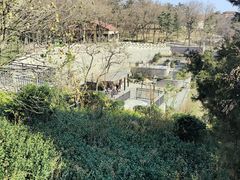 -北岭山森林公园