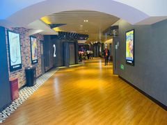 -SFC上影百联影城(大上海4DX店)