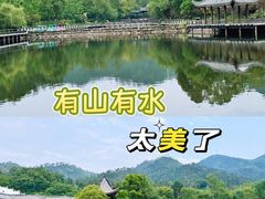 -黄陂区野村谷景区