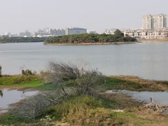 -立新湖公园