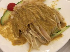 -九花山烤鸭店