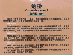 -青藏高原野生动物园