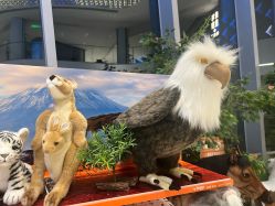 -IMON·HANSA潮玩玩偶毛绒玩具(通州万象汇店)