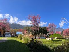 -云禾壹海景庄园餐厅