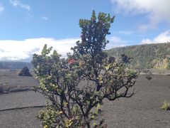 -夏威夷火山国家公园