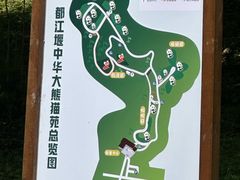 -都江堰中华大熊猫苑