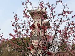 -梁鸿国家湿地公园