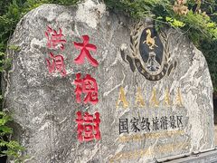 -大槐树寻根祭祖园