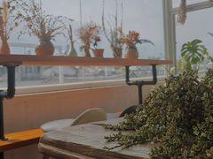 -唐咖精品咖啡(大理古城手冲店)