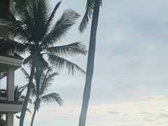 -麦哲伦丝绸度假村