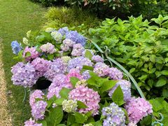 -上海共青森林公园