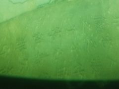 -白鹤梁水下博物馆