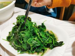 -平乐古镇孙血旺