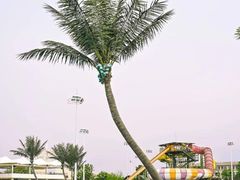 -上海玛雅海滩水公园