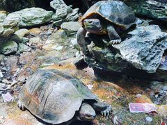 -古龙峡云天玻霸
