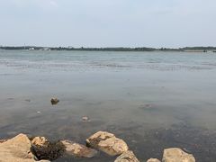 -丁香湖公园