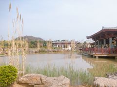 -洛阳古墓博物馆