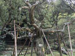 -草庵摩尼教遗址公园