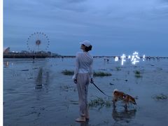 -奉贤海滩