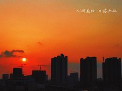 -黄埔荔枝公园