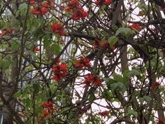 -成都世纪城假日酒店-西楼