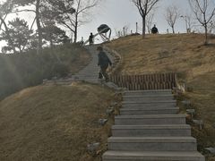 -莫子山公园