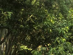 -世间香境·七溪地