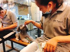 -PETKIT小佩宠物(古北店)