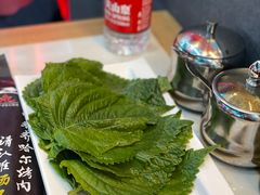 -杨记齐齐哈尔烤肉(总店)