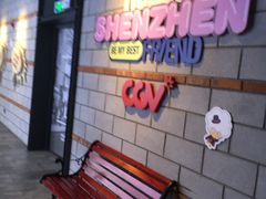 -CGV影城(壹方城IMAX店)