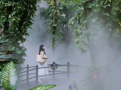 -呀诺达热带雨林
