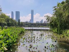 -深圳湾公园(南山区)