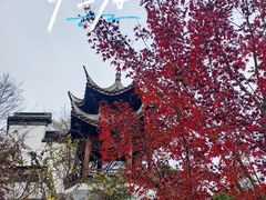 -武汉园博园(武汉自然博物馆)