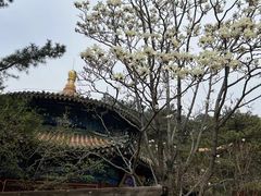 -潭柘寺景区