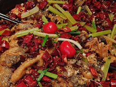 -老板恋上鱼(恒隆广场店)