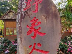 -野象谷景区