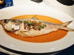 古法秘制蒸鲥鱼-麟1929(外滩店)