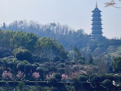 -重庆园博园
