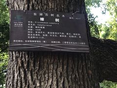 -东湖落雁景区