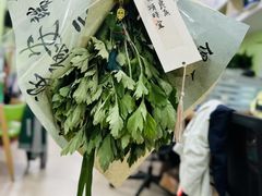 -学知乐教育·幼小衔接·小学科辅导(嘉定镇校区)
