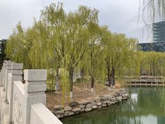 -大兴滨河森林公园