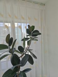 -HEYAN荷妍专业脱毛连锁机构