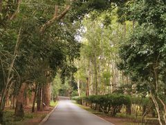 -中国科学院西双版纳热带植物园