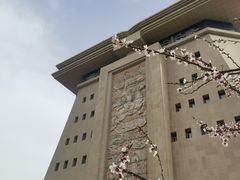 -巴音郭楞蒙古自治州博物馆